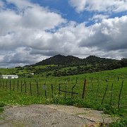 DSC01808
