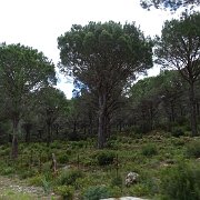 DSC01818