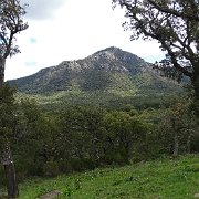 DSC01822