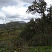 DSC01823