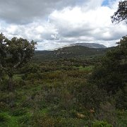 DSC01824