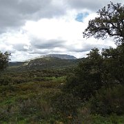DSC01825