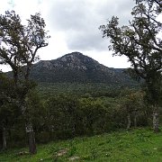 DSC01826