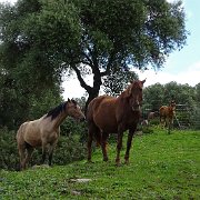 DSC01833