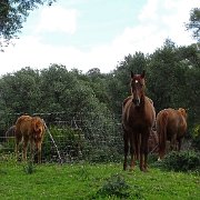 DSC01834