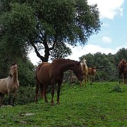DSC01836