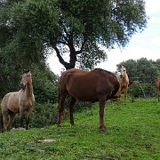 DSC01837