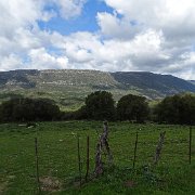 DSC01839