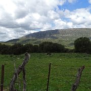 DSC01841