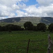 DSC01842