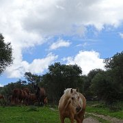 DSC01843
