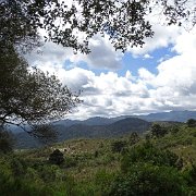 DSC01852