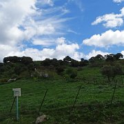 DSC01863