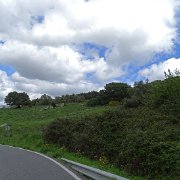 DSC01866