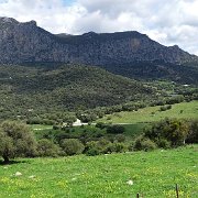 DSC01871