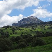 DSC01877