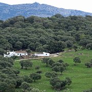 DSC01878