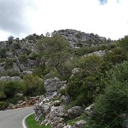 DSC01890