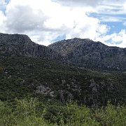 DSC01893