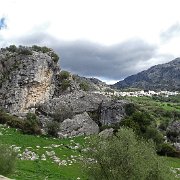 DSC01900
