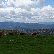 DSC01906