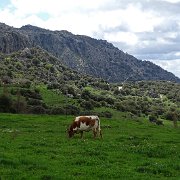DSC01911