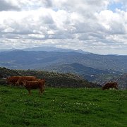 DSC01912