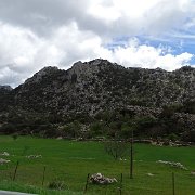 DSC01923