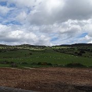 DSC01924