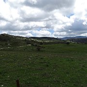 DSC01931