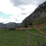 DSC01932