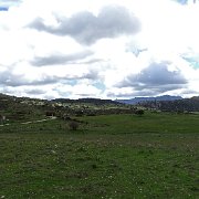 DSC01933