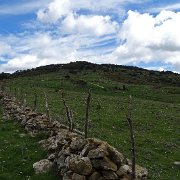 DSC01935