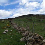DSC01936