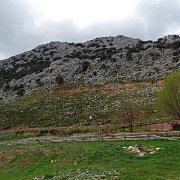 DSC01937