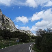 DSC01941