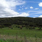 DSC01944