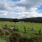 DSC01945