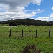 DSC01946