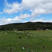 DSC01948