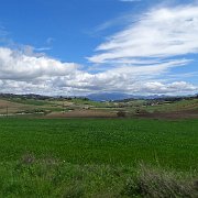 DSC01954