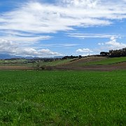 DSC01955