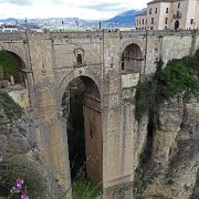 DSC01981