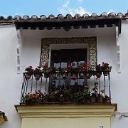 DSC02116