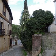 DSC02118