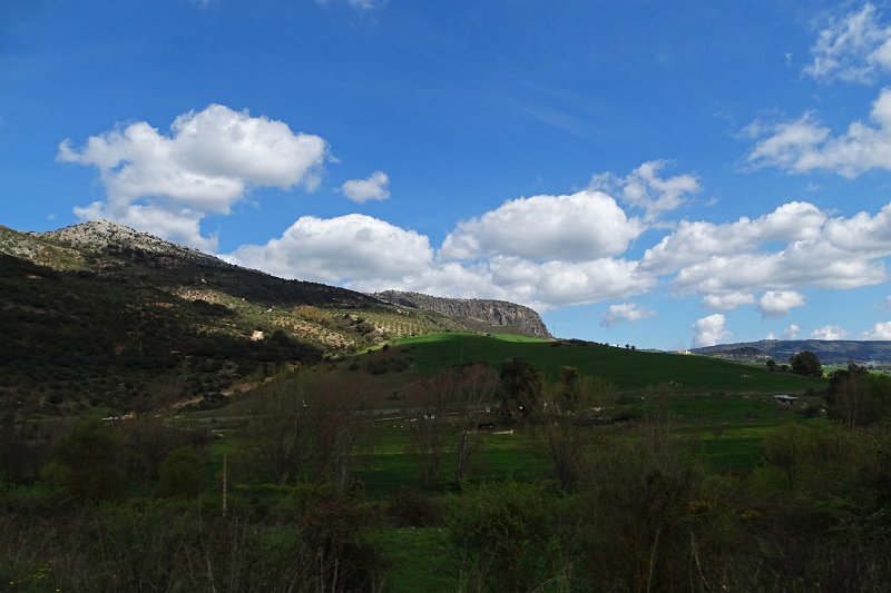 DSC00003
