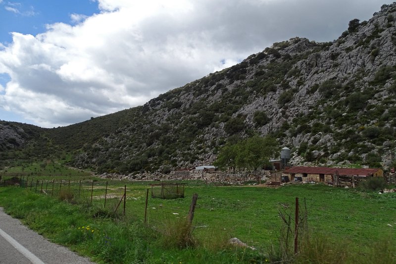DSC00017