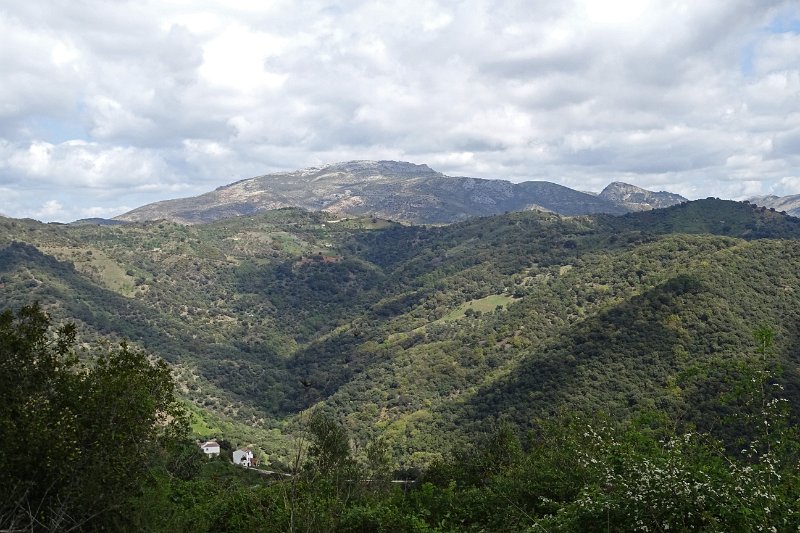 DSC00036