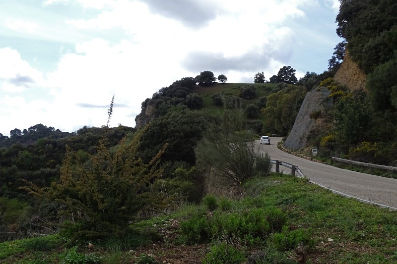 DSC00037