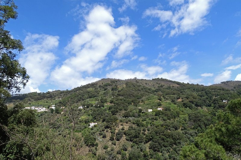 DSC00067